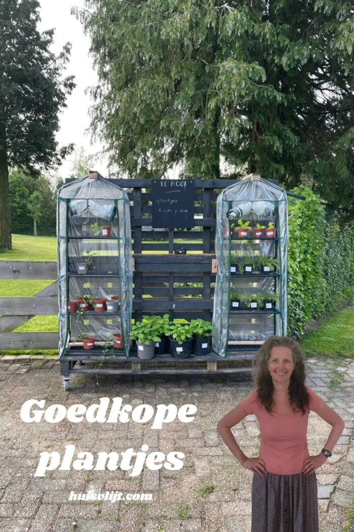 goedkope plantjes