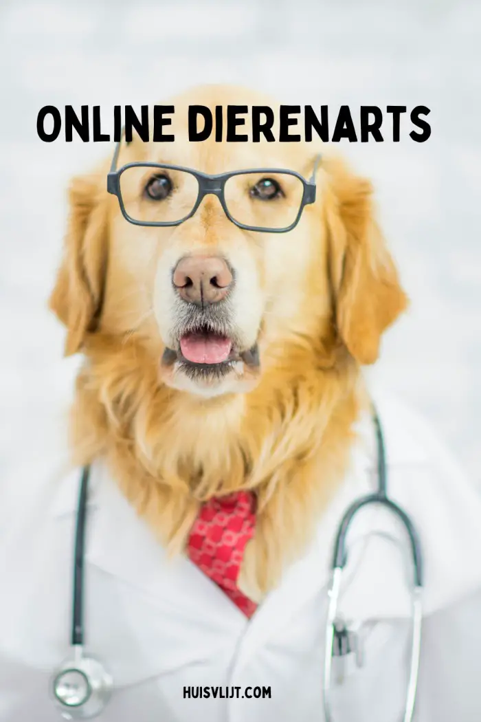 online dierenarts