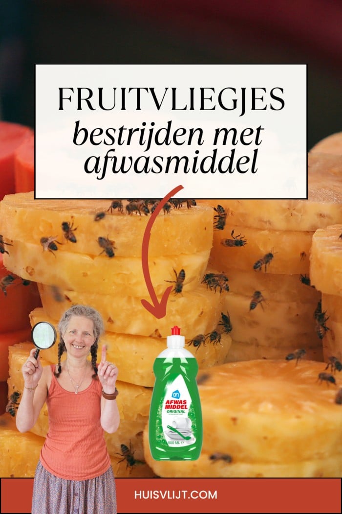 fruitvliegjes bestrijden