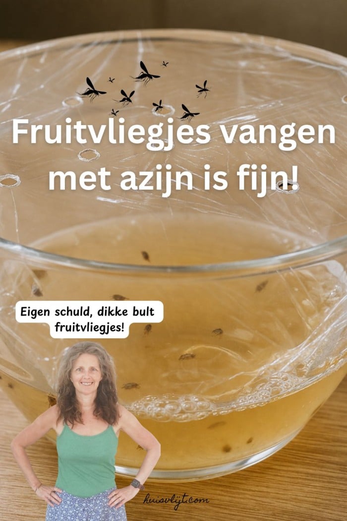 fruitvliegjes van met azijn