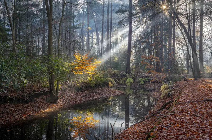 weerfotografie