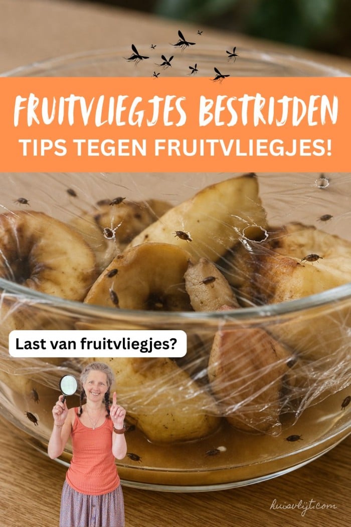 tips tegen fruitvliegjes