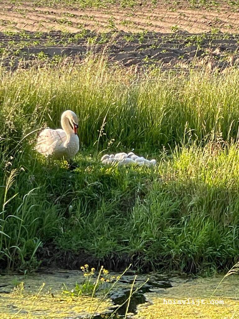 2626c534 0515 45bd b4e2 cde6e8e87735