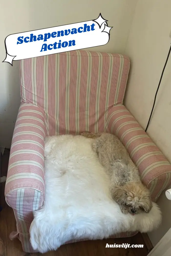 schapenvacht action