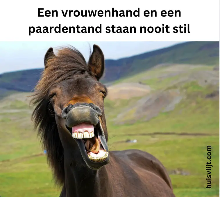 een vrouwenhand en een paardentand