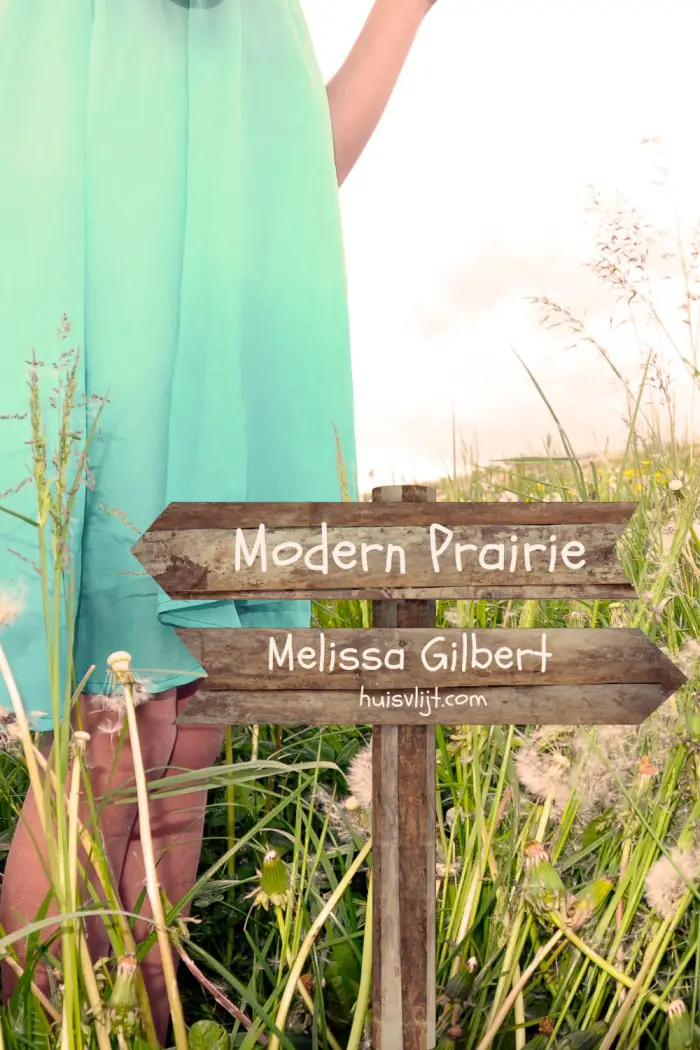 Modern Prairie van Melissa Gilbert (59): gelukkig zijn met kleine dingen 21 modern prairie