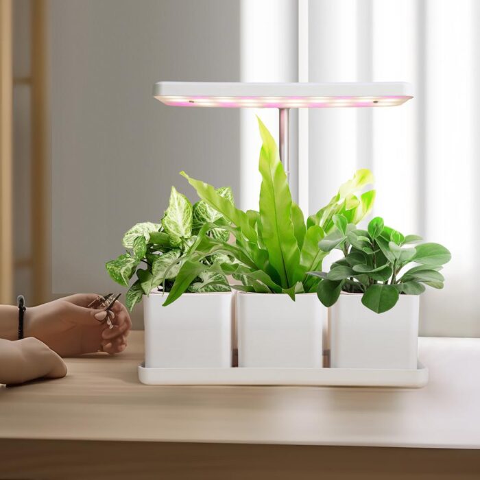 kweekbak met ledlamp