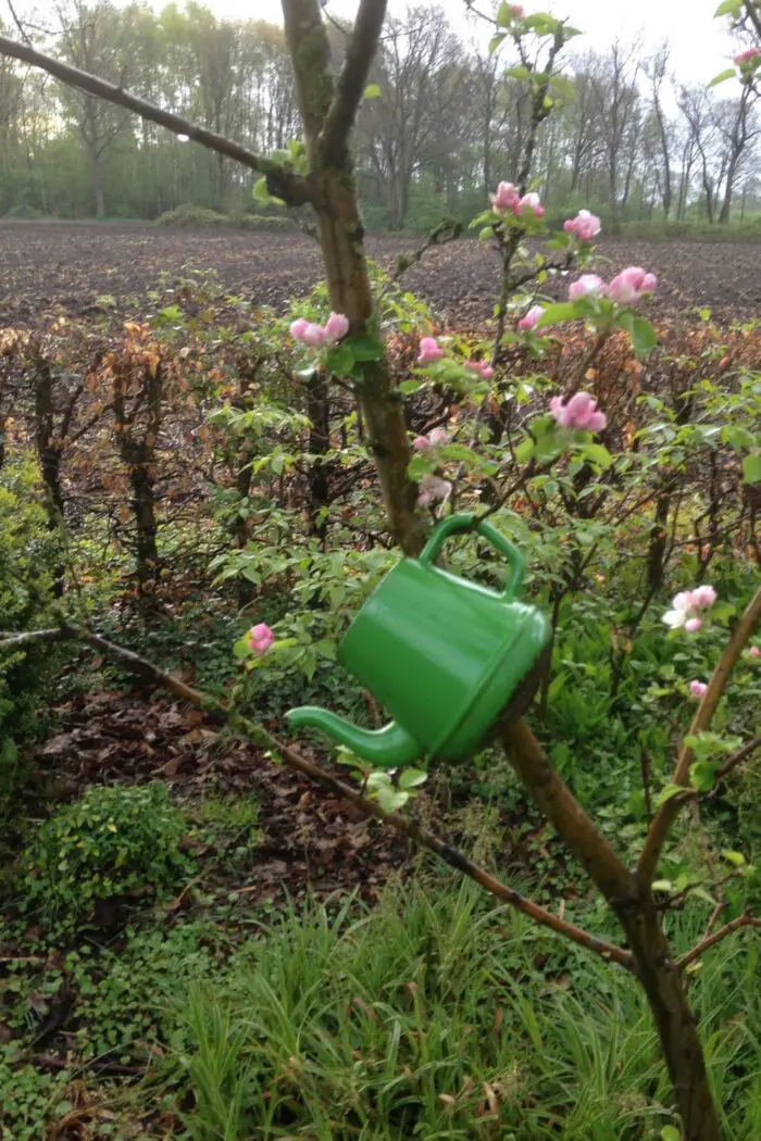 ornament in de tuin
