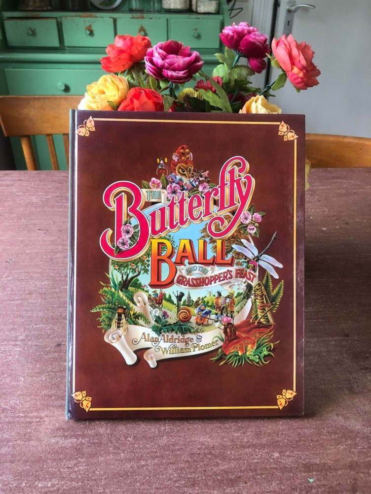 Boek kopen op Vinted: Butterfly Ball €30,-