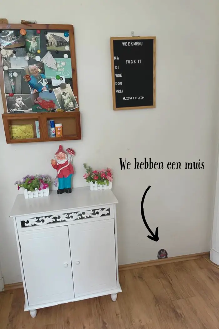 we hebben een muis