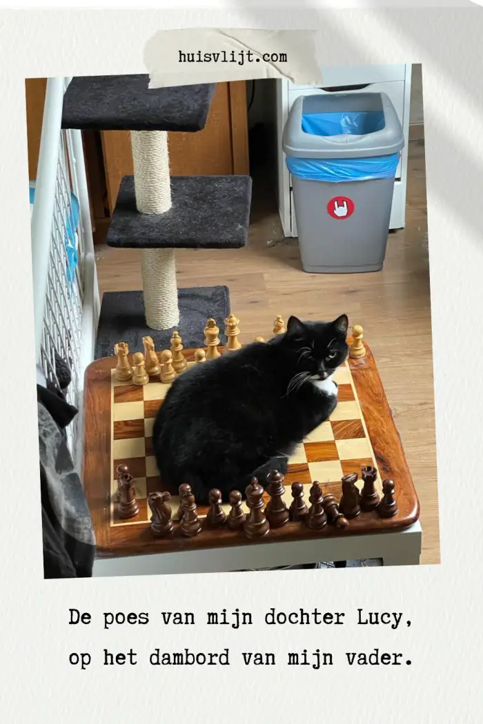 rouw