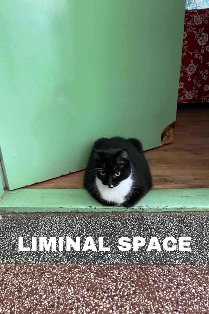 Liminal space - liminaliteit en rouw + 23 voorbeelden