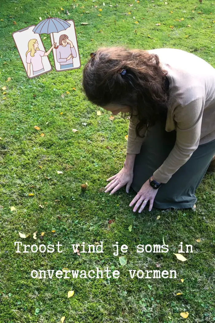 troost