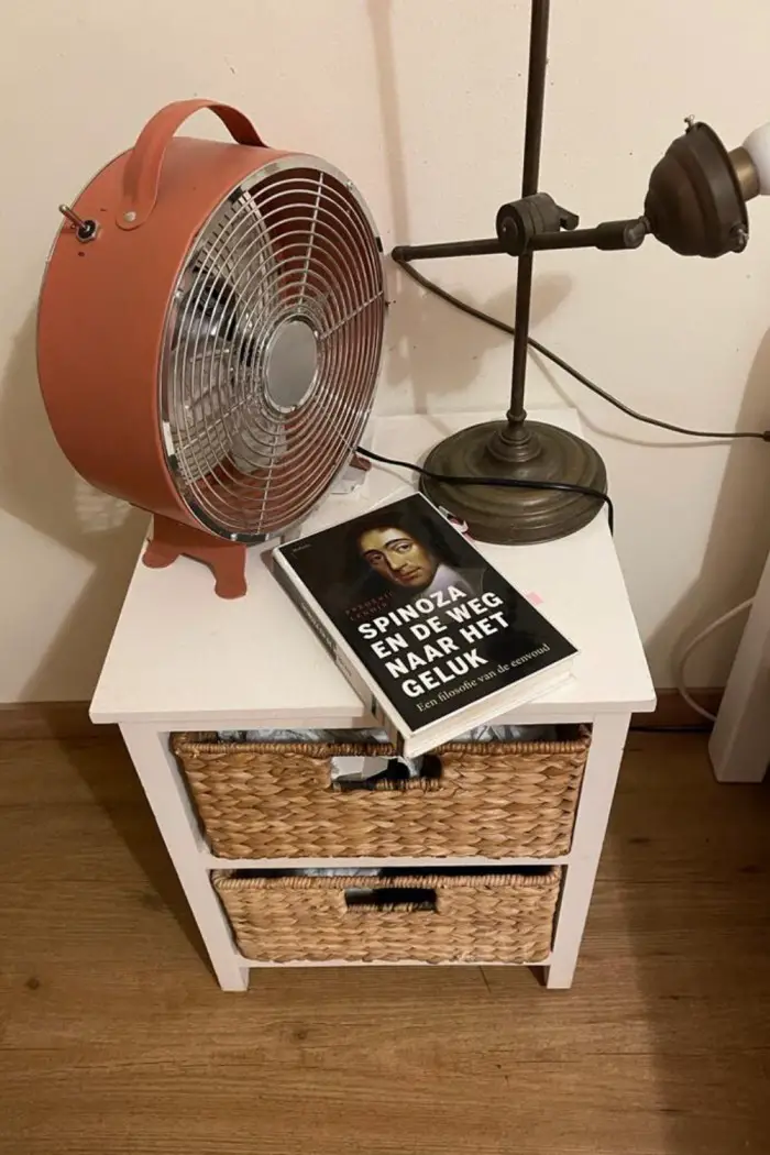 Waarom Spinoza op mijn nachtkastje ligt 3 Waarom Spinoza op mijn nachtkastje ligt