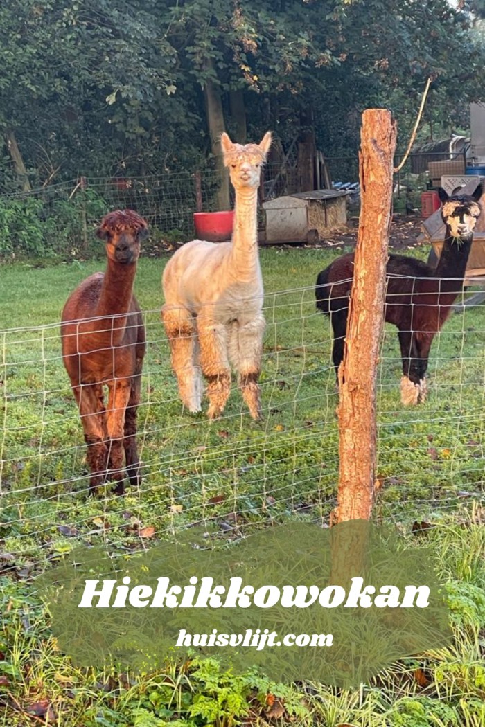Hiekikkowokan
