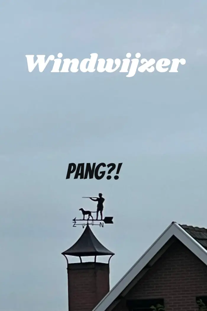 Windwijzer of windvaan: wat leuk! Hoewel...