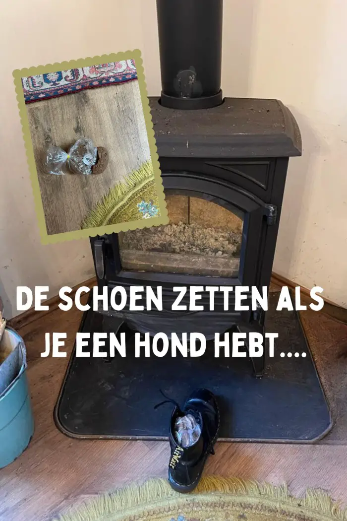 de schoen zetten als je een hond hebt