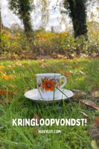 kringloopvondsten