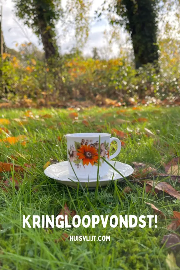 Kringloopvondst