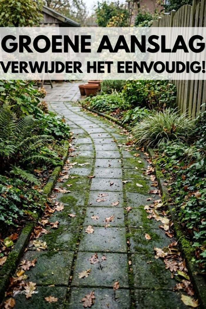 Groene aanslag tegels verwijderen met groene zeep en zoda 4 groene aanslag verwijderen