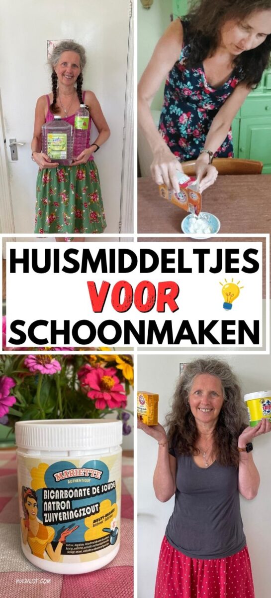 huismiddeltjes voor schoonmaken