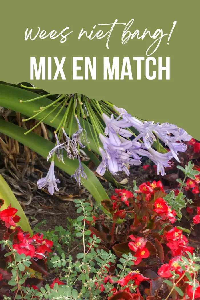 mix en match