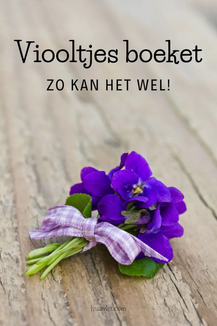 viooltjes boeket