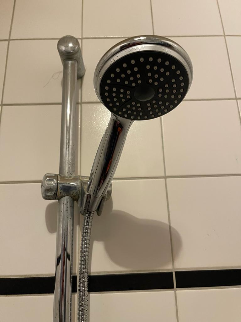 Action douchekop + douche timer Huisvlijt