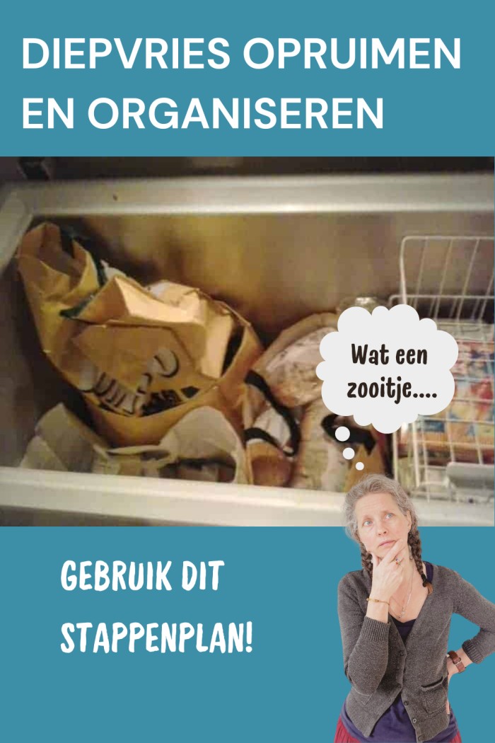 diepvrieskist opruimen