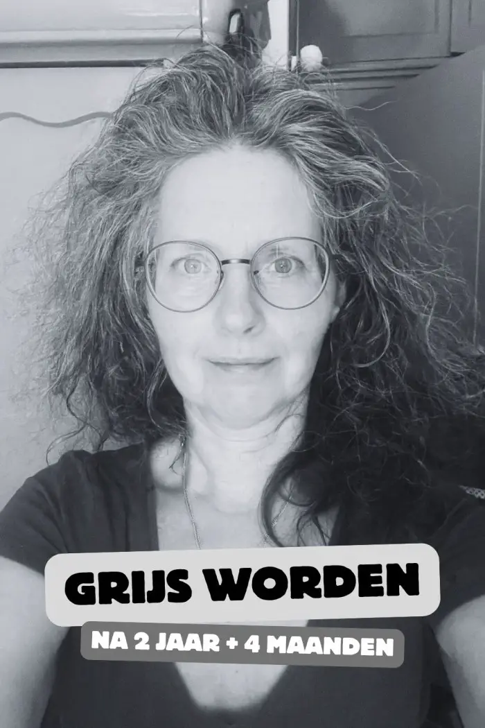 van bruin naar grijs haar
