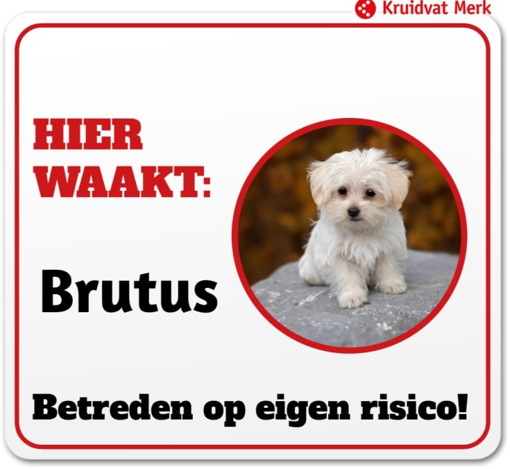 anti-inbraak systeem