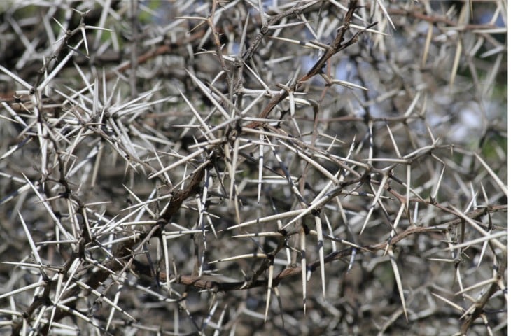 anti-inbraak systeem