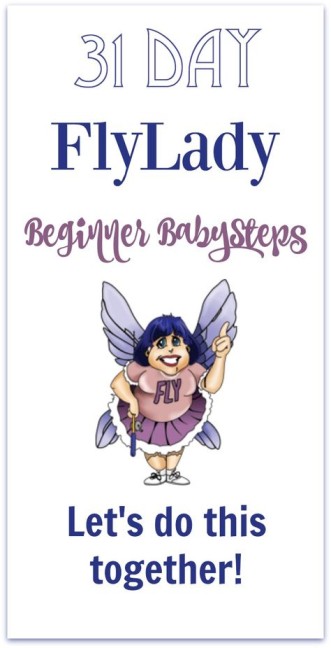 9 Schoonmaakgoeroes en opruimcoaches 6 flylady