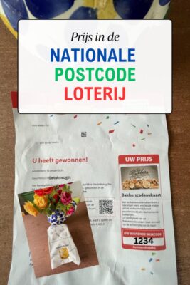 nationale postcode loterij prijs
