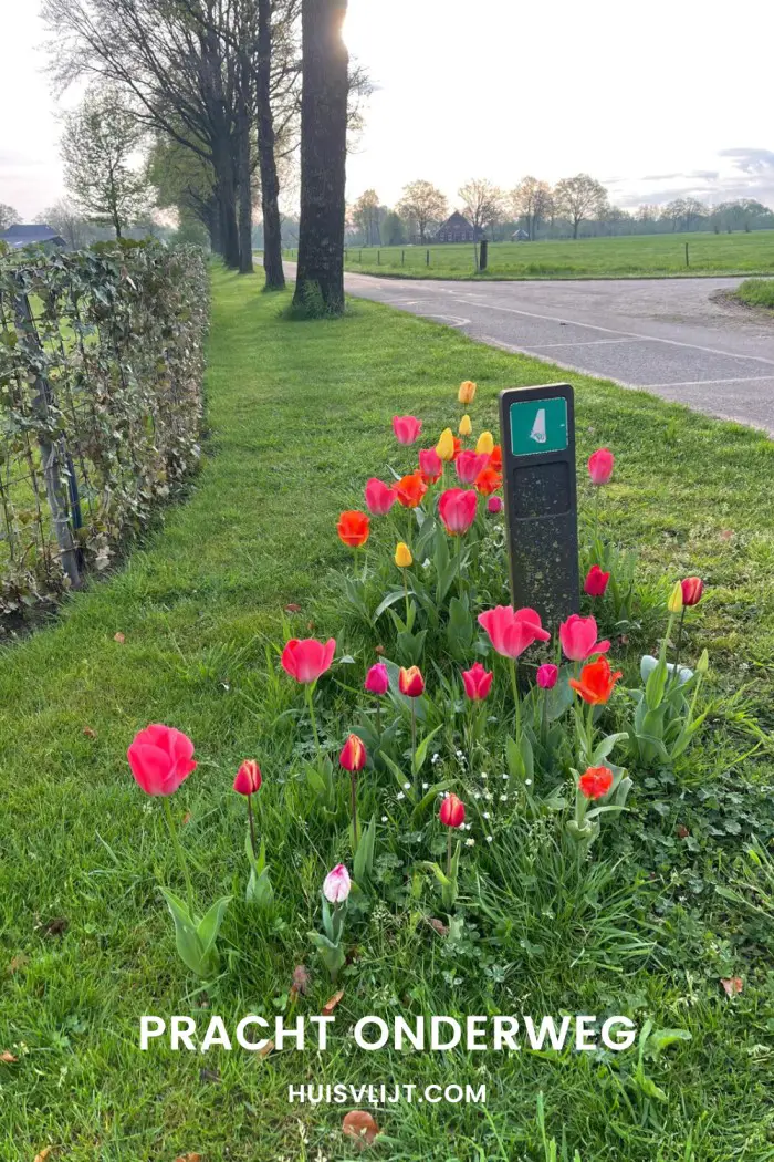 pracht onderweg