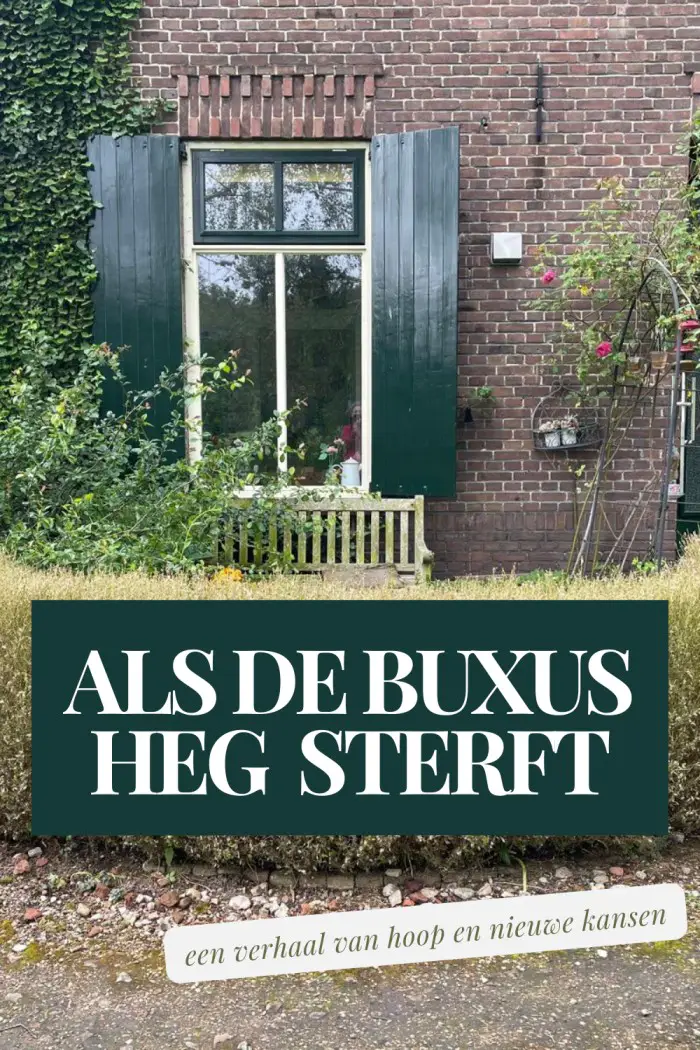 buxusheg
