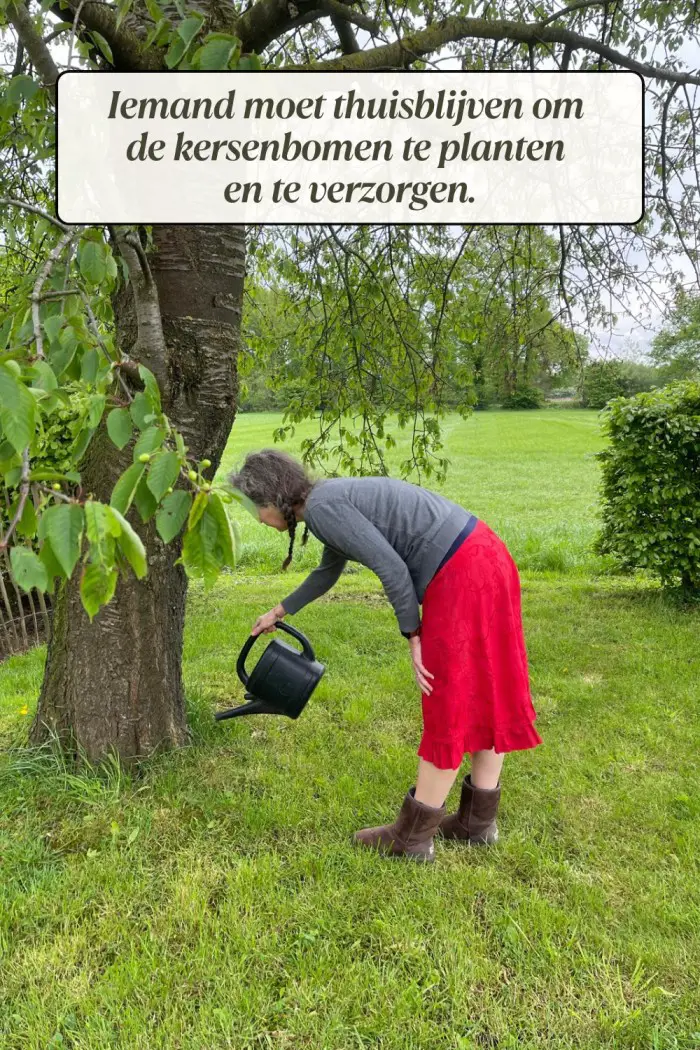 thuisblijven kersenbomen