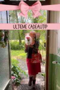 cadeautip