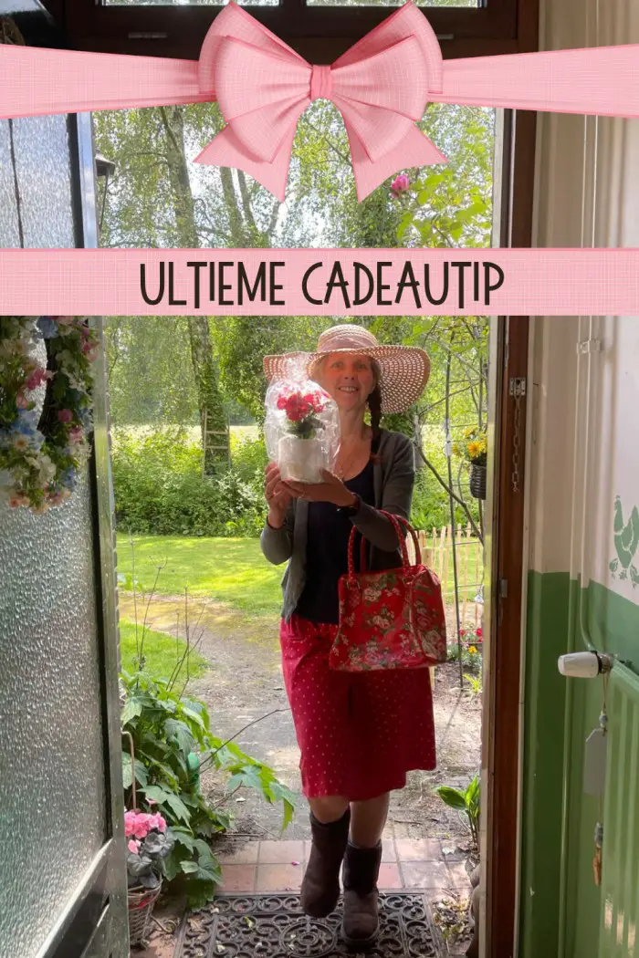 cadeautip