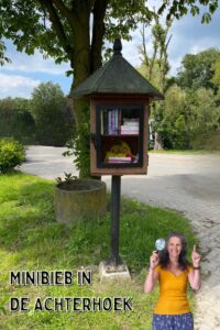 minibieb in de achterhoek