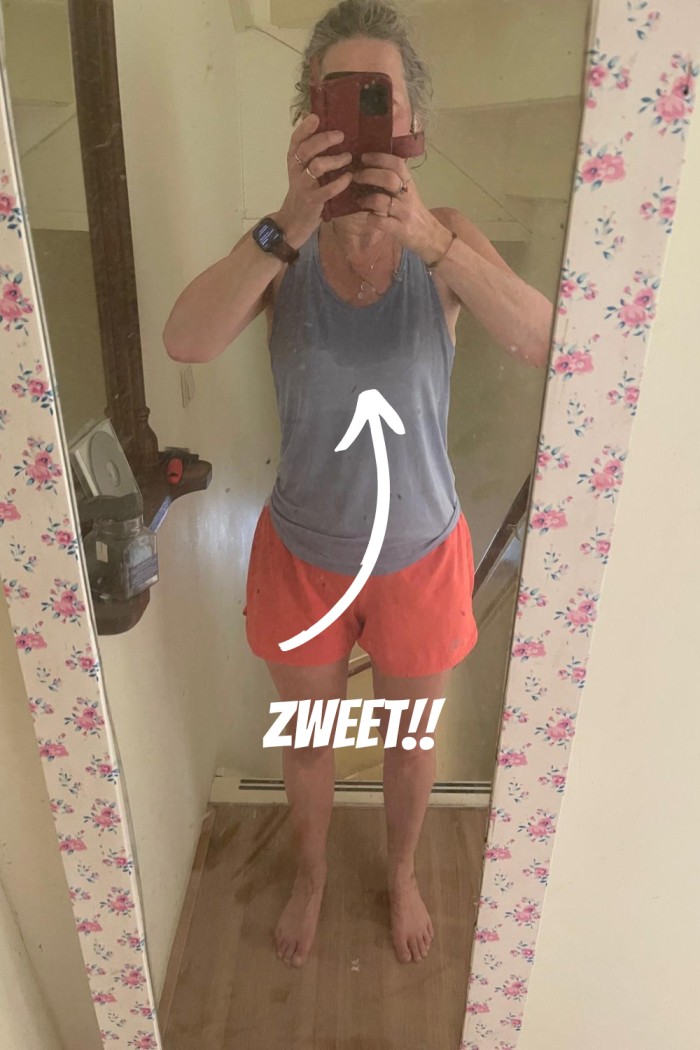 zomerhitte