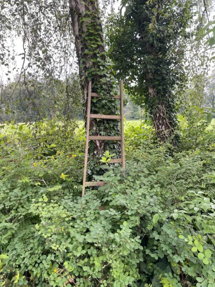 houten ladder