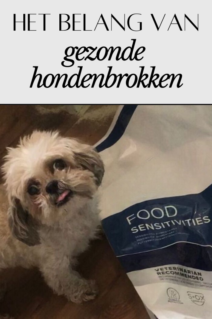 Huisvlijt weekoverzicht week 24 van 2024 6 hondenbrokken kiezen