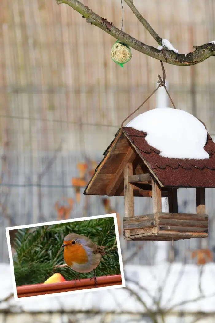 kleine tuin winter
