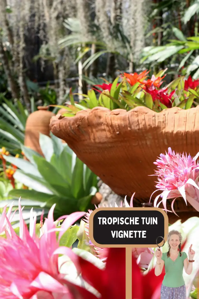 tropical garden vignette
