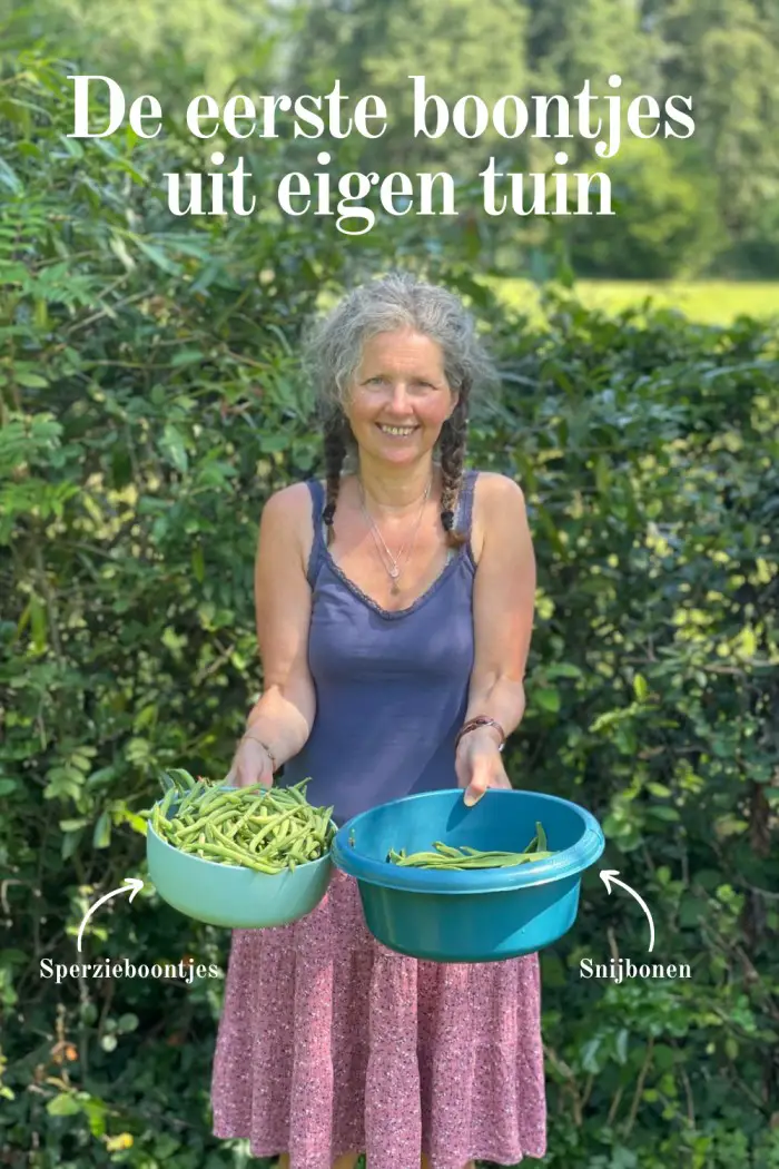 eerste boontjes uit eigen tuin