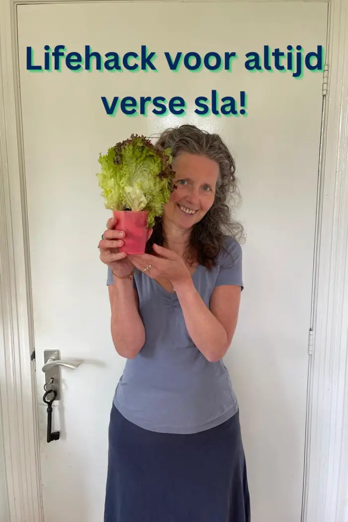 lifehack verse sla kluitsla