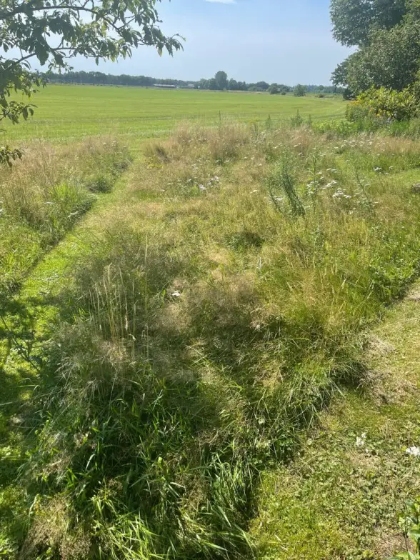 Gras maaien versus een natuurlijke tuin 2 natuurlijke tuin