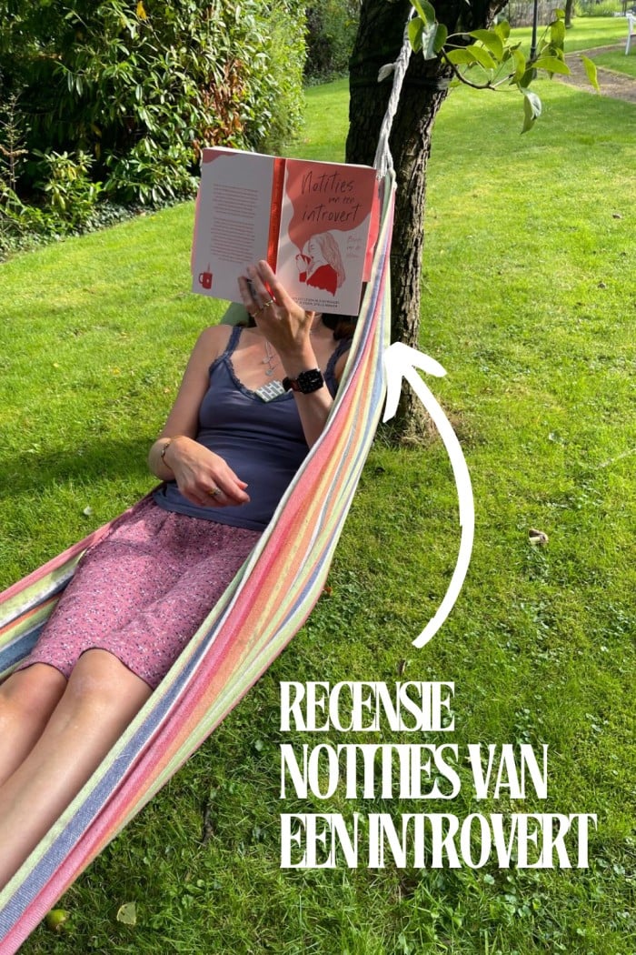notities van een introvert recensie