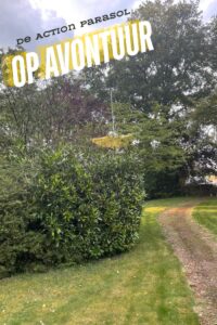 action parasol